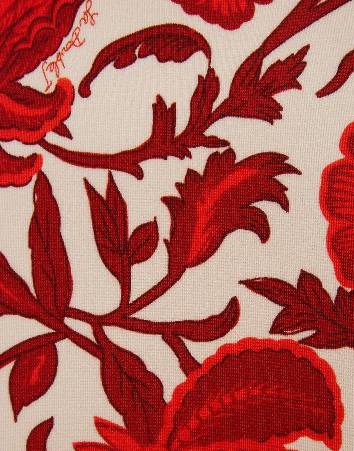 Daiquiri SuitDragonflower Mini Red in Lycra