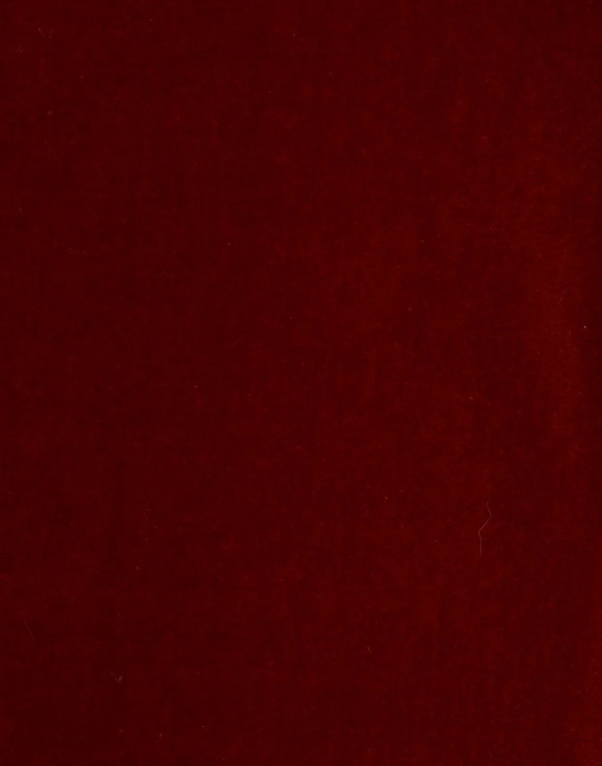 Keaton JacketTerracotta in Velvet With Feathers